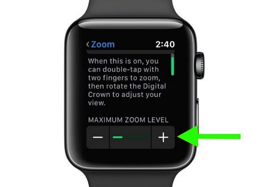 Điều chỉnh Zoom trên Apple Watch