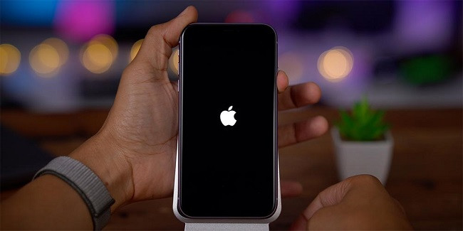  iPhone 12 Pro bị treo logo