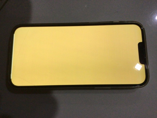 iPhone 13 Pro Max bị lỗi màn hình