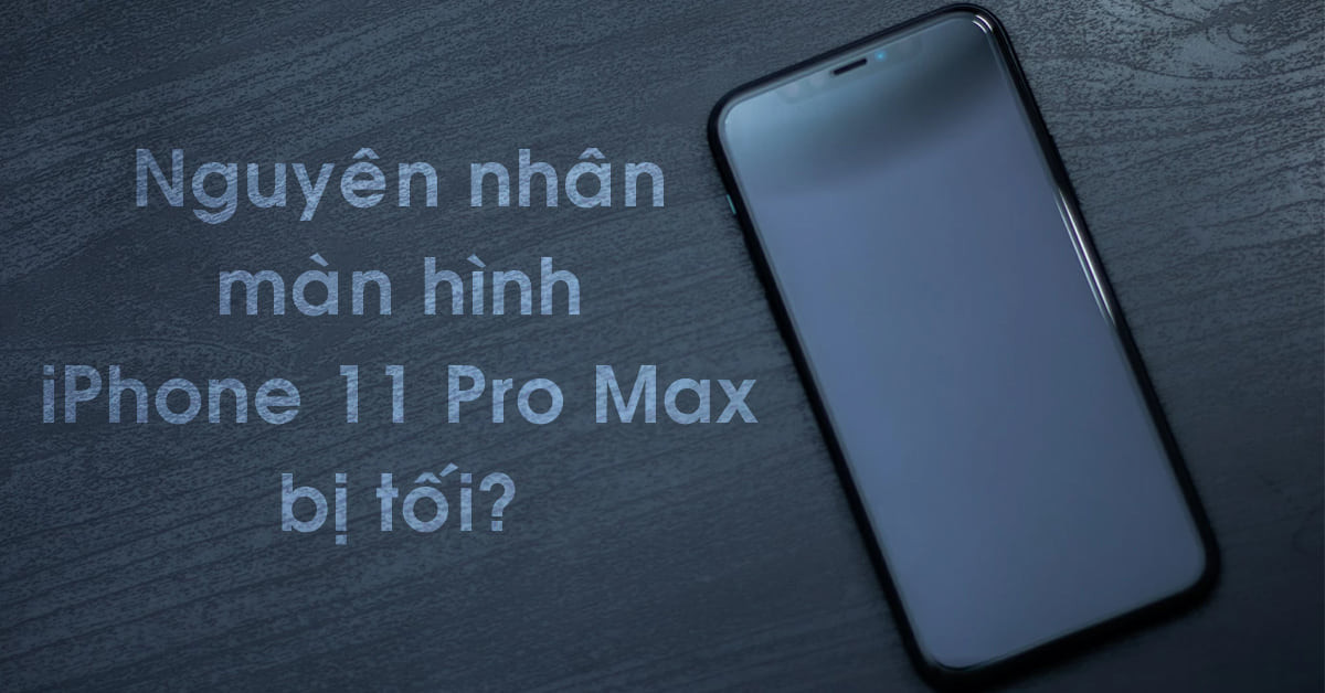 Màn hình iPhone 11 Pro Max bị tối do đâu