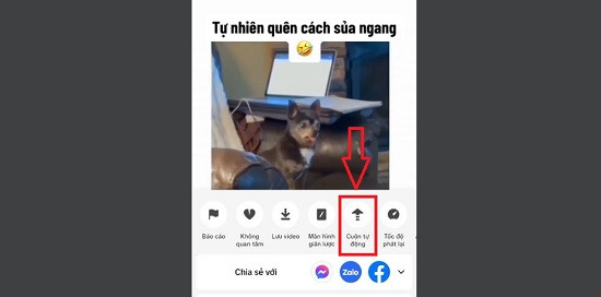 Cuộn tự động Cuộn tự động