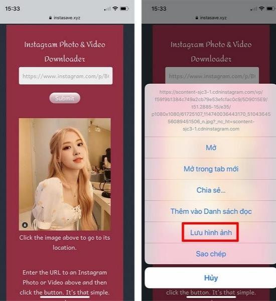 Cách tải ảnh từ Instagram về điện thoại iPhone thông qua trang web hỗ trợ bước 4