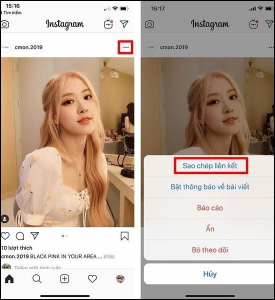 Cách tải ảnh từ Instagram về điện thoại iPhone thông qua trang web hỗ trợ bước 2