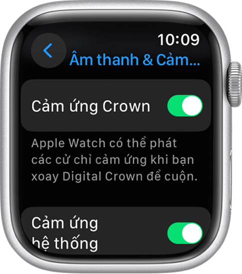 Bật Crown cảm ứng cho Digital Crown trên Apple Watch