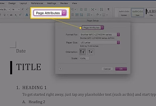 Cách chỉnh khổ giấy A4 trong Word trên MacBook bước 3