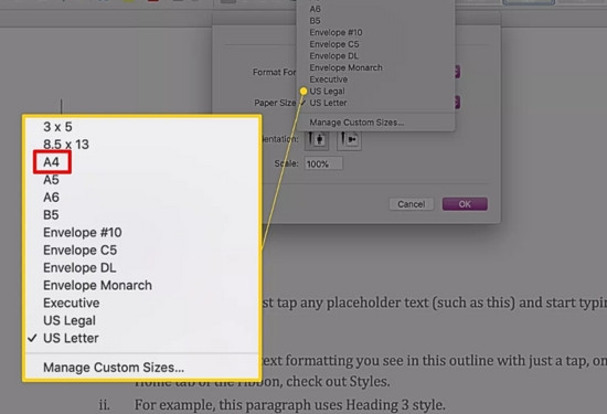 Cách chỉnh khổ giấy A4 trong Word trên MacBook bước 4