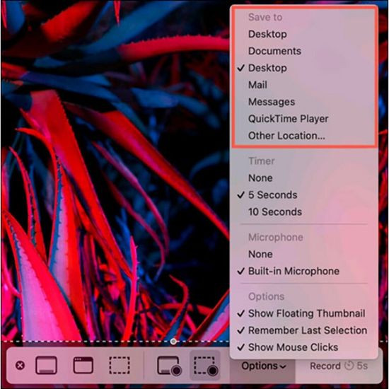 Cách quay màn hình MacBook có tiếng bằng Screenshot Toolbar bước 3