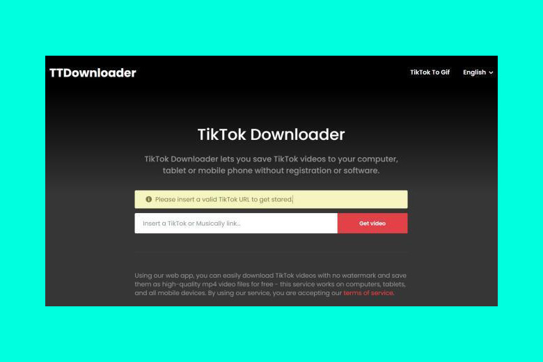 Cách tải video TikTok không có logo bằng trình TikTok Downloader