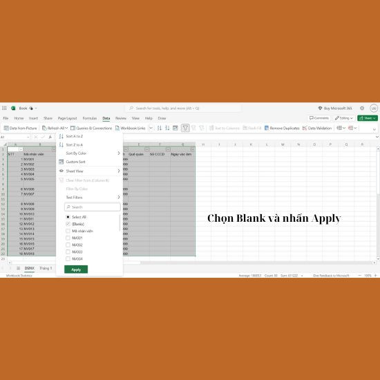Cách xóa nhiều dòng trống trong Excel 2010 bằng tính năng Filter bước 5