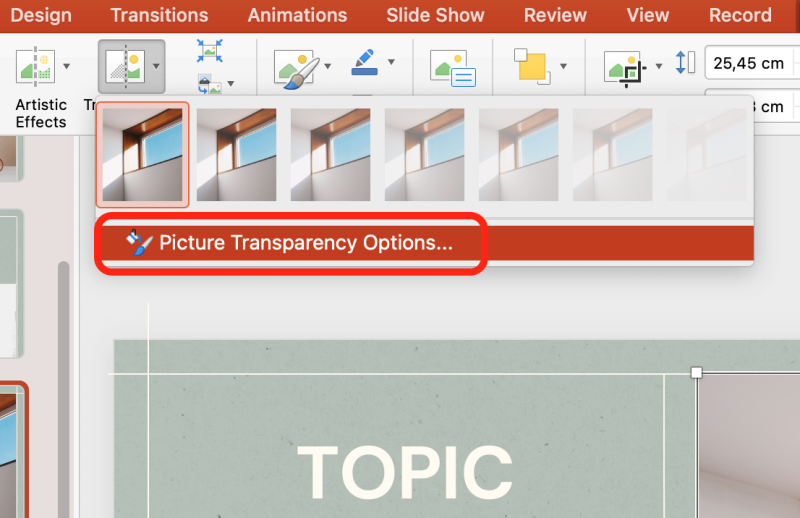 Cách 3 bước 2 mở công cụ Picture Transparency Options