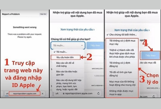 Cách hoàn tiền Momo từ trang web báo cáo sự cố của Apple Store trên điện thoại bước 1,2
