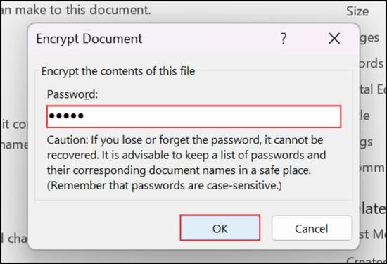 Encrypt with Password bước 2