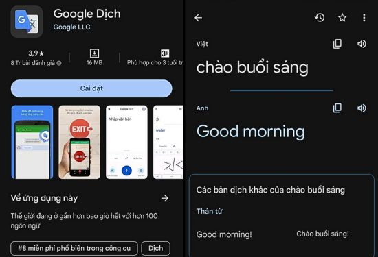 Google Dịch