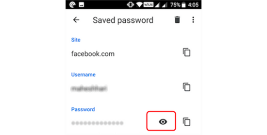 Xem mật khẩu Facebook qua Chrome B5