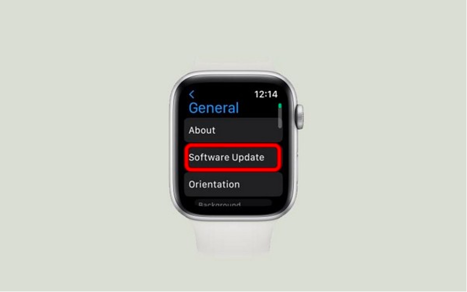 Cách cập nhật Apple Watch khi chưa kết nối trực tiếp từ WatchOS  B5