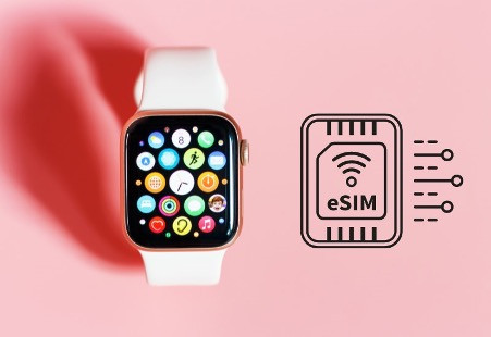 Cách cài đặt eSIM Vinaphone cho Apple Watch