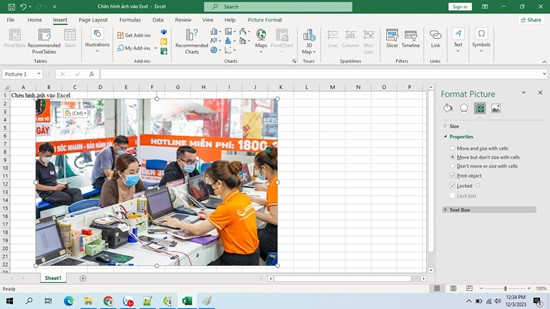 Cố định ảnh trong Excel