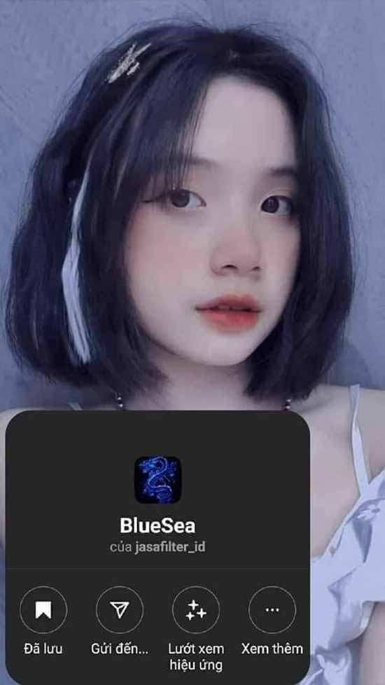 Filter bluesea Filter bluesea
