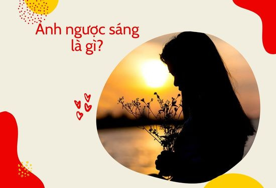 Ảnh ngược sáng là gì? Ảnh ngược sáng là gì?
