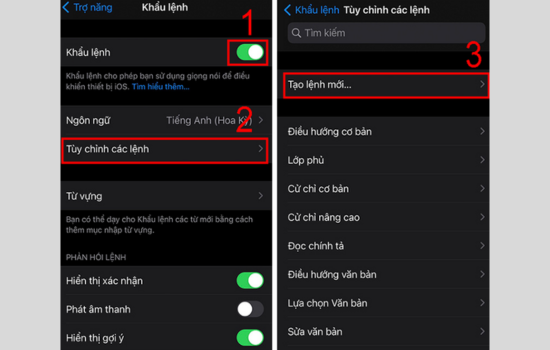 Hướng dẫn cách mở khoá màn hình bằng giọng nói iPhone bước 2 Hướng dẫn cách mở khoá màn hình bằng giọng nói iPhone bước 2