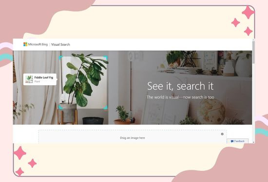 sử dụng Web Visual Research