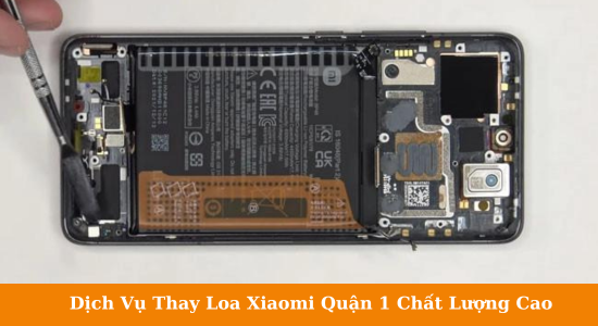 Thay loa xiaomi tại FASTCARE