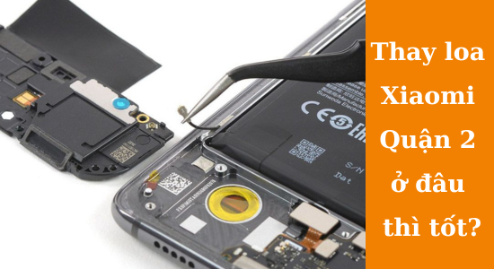 Thay loa Xiaomi Quận 2 uy tín