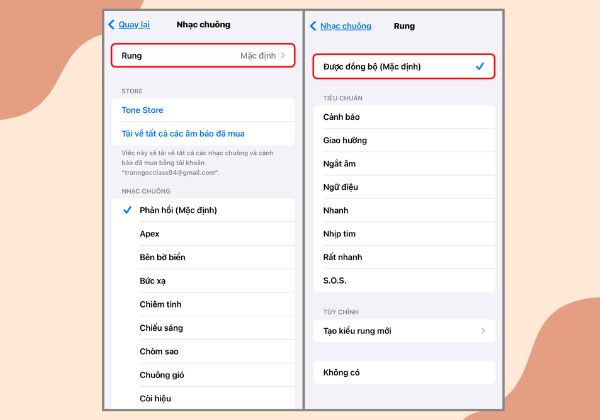 Kiểm tra chế độ rung B2