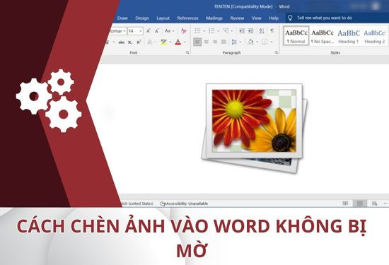 Hướng dẫn một số cách chèn ảnh vào Word không bị mờ đơn giản