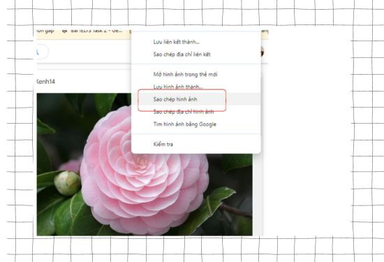 Chèn ảnh bằng lệnh “Copy” “Paste”