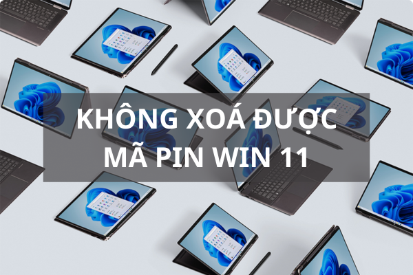 không xóa được mã Pin Win 11 không xóa được mã Pin Win 11