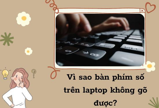 Lý do bàn phím số trên lap không gõ được