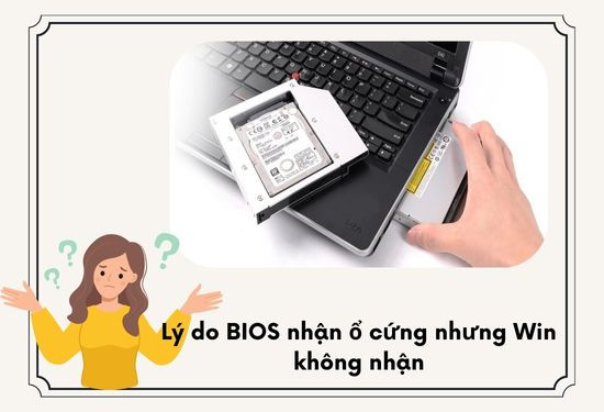 BIOS nhận ổ cứng nhưng Win không nhận&nbsp;