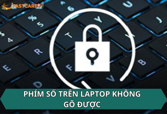 phím số trên laptop không gõ được