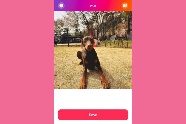 Sử dụng app InstaSave bước 4