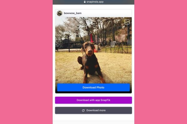 Sử dụng Snapinsta bước 3