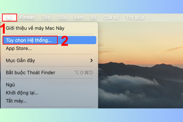 Sử dụng Tùy chọn hệ thống bước 1