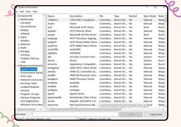 Software Environments