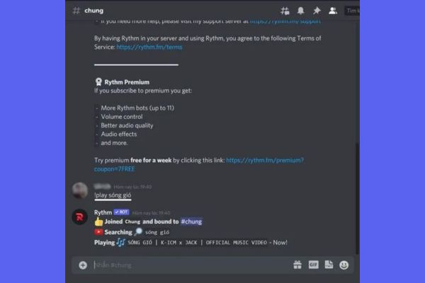 Bước 5: Sử dụng bot phát nhạc Discord