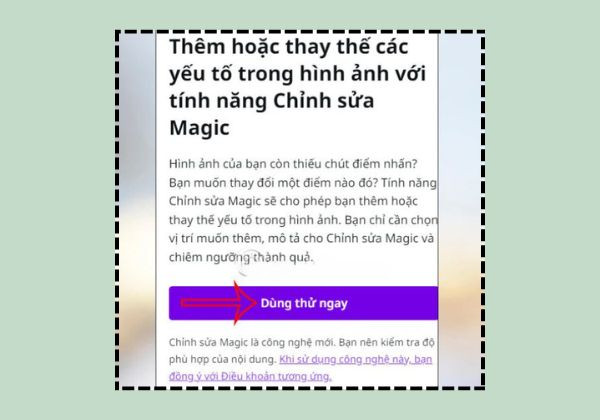 Cách sử dụng AI trong Canva B3