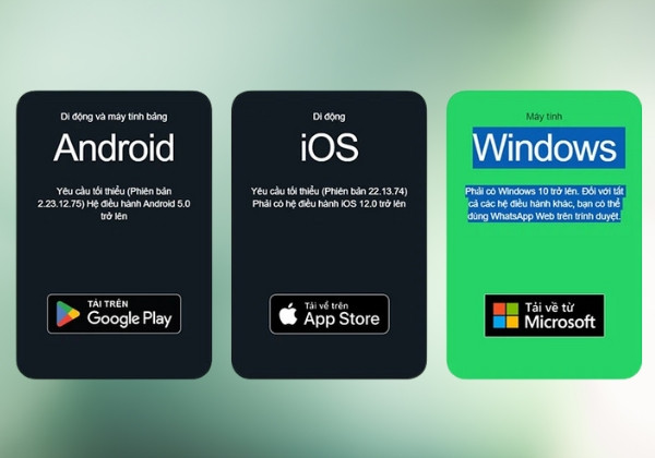 Cài đặt WhatsApp cho điện thoại Android và iOS bước 1 Cài đặt WhatsApp cho điện thoại Android và iOS bước 1