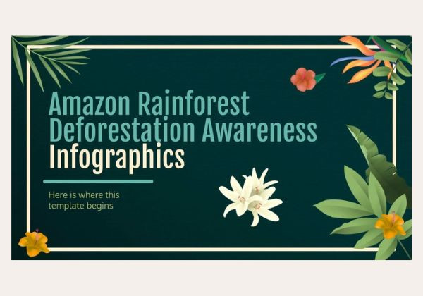 Amazon Rainforest Deforestation