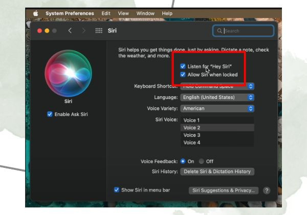 Reset Siri trên máy Macbook bước 5