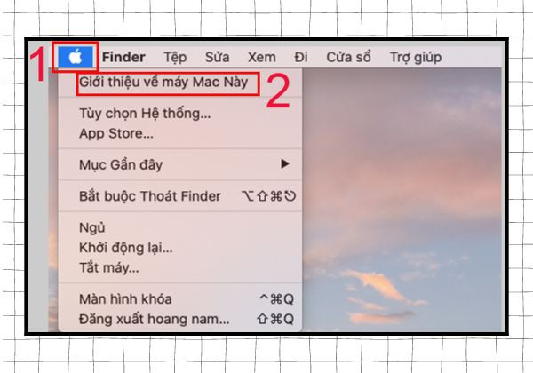 Cách xóa file ở Macbook bằng phần quản lý bộ nhớ bước 1