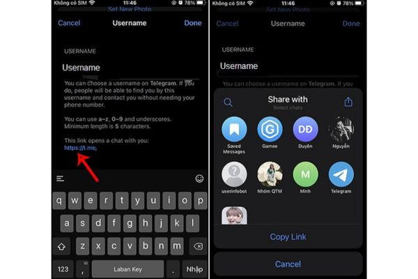 Sao chép link hồ sơ Telegram cá nhân trên điện thoại bước 2
