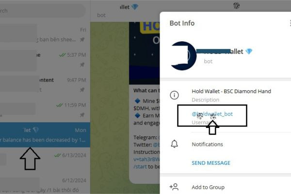 Copy link tài khoản Telegram của mình trên máy tính