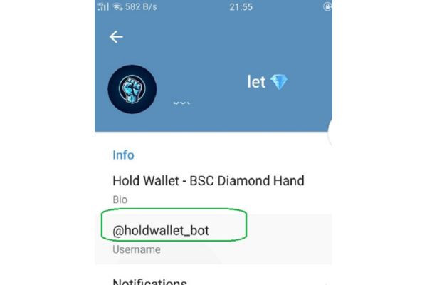 Cách copy link tài khoản Telegram người khác trên điện thoại bước 2