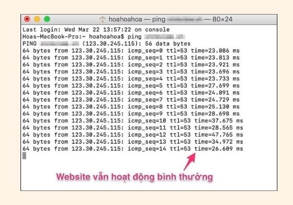 Đánh giá trạng thái hoạt động của Website trên MacOS Đánh giá trạng thái hoạt động của Website trên MacOS