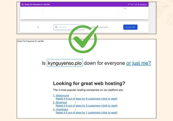 Đánh giá trạng thái hoạt động của Website Đánh giá trạng thái hoạt động của Website