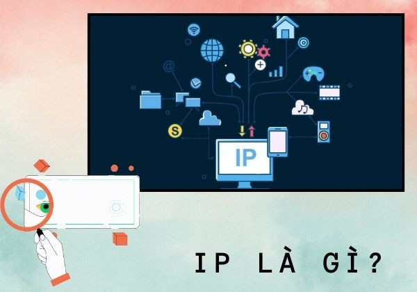 IP là gì? IP là gì?